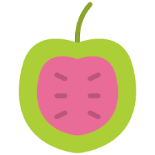 vitalbitetime.com favicon